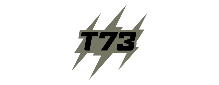 Carabines T 73