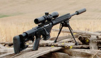 TLD vs PRS : quelles différences ? Le guide complet FMR